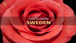 Send Flowers to Sweden